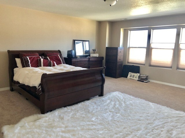 Building Photo - Beautiful Bedroom in Forest Meadows!