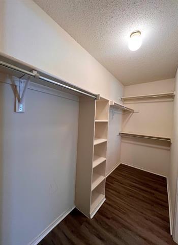 Building Photo - 292 Beech Dr