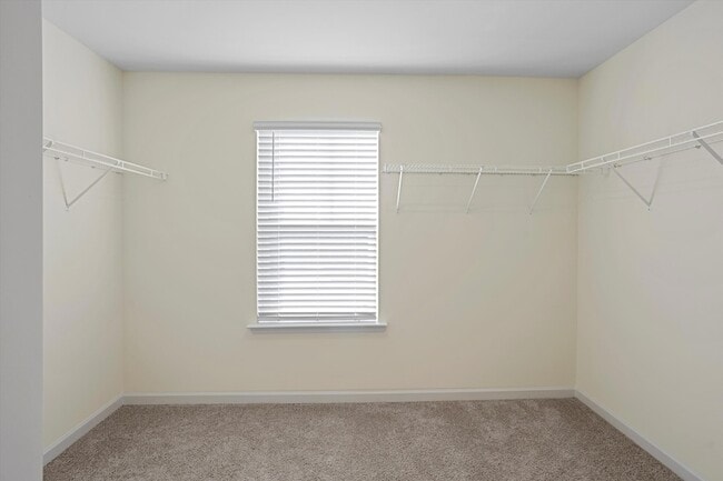 Building Photo - 4140 Bentwood Cove Dr