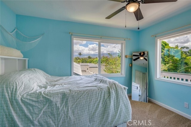Building Photo - 52 Alahele Pl