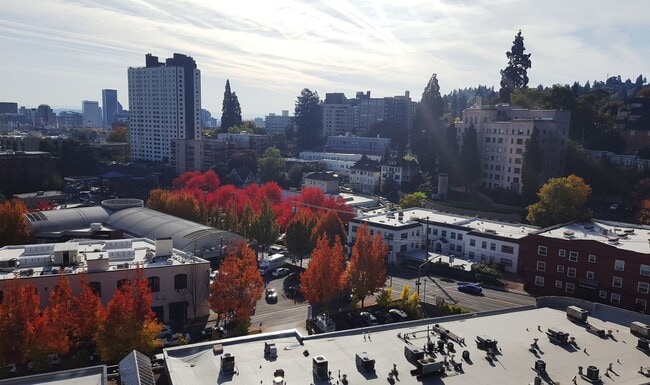 Building Photo - Fantastic 11th Floor Westerly Condo with C...