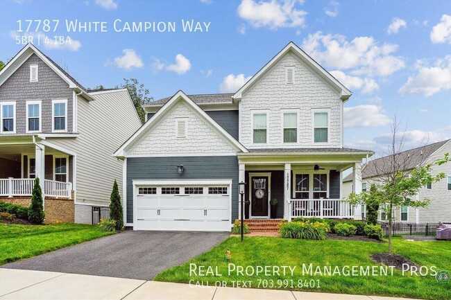 Primary Photo - 17787 White Campion Wy