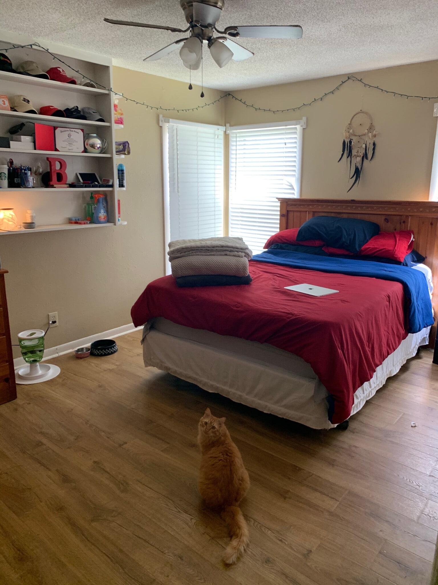 Building Photo - 3405 36th St