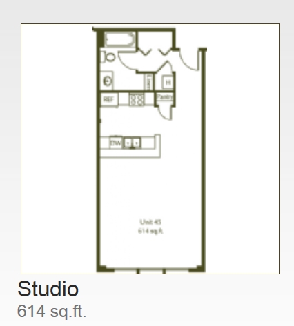 Green Unit 45 - Eleventh Street Lofts