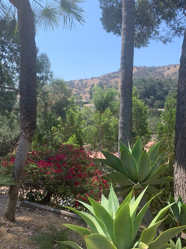 Building Photo - 2328 Via Saldivar St