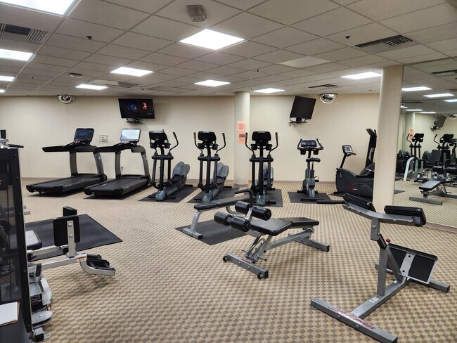 fitness center - 1315 Alma Ave