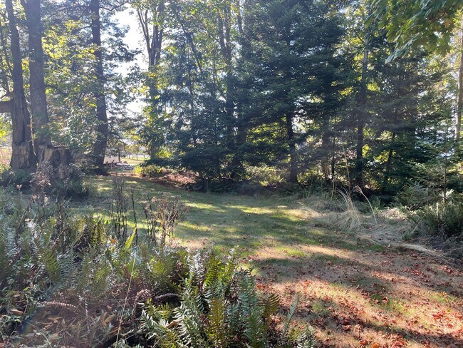 Building Photo - Newer Double Bluff Home In The Woods!