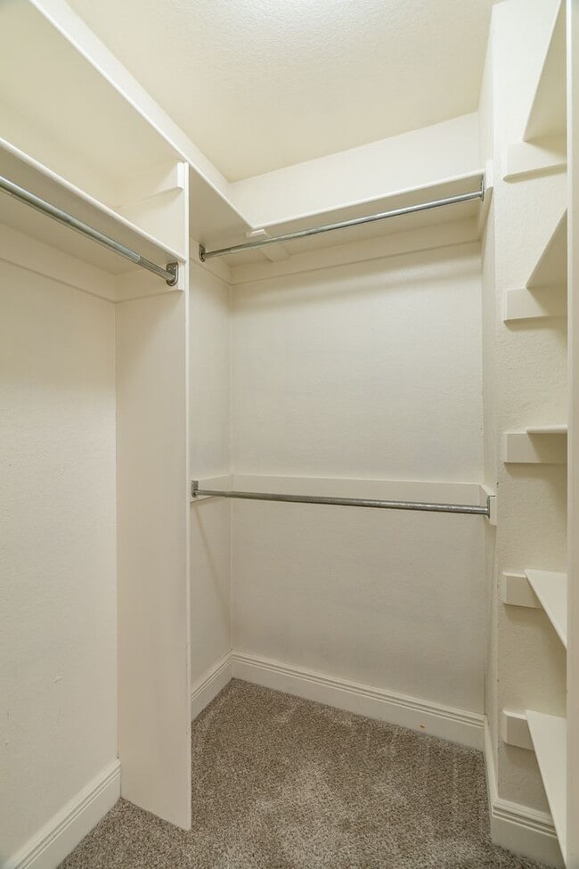 Building Photo - Four Bedroom Home Walking Distance to UofA! Lawn Care Included! AVAILABLE IN JULY!!!!!