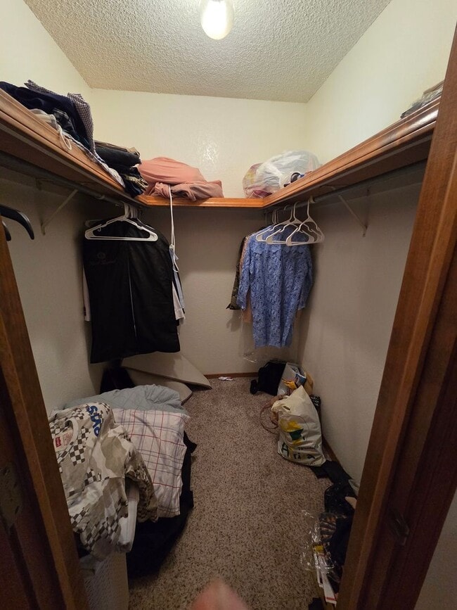 Building Photo - Large 4 Bdrm/3 Bath Home Close to Holloman AFB