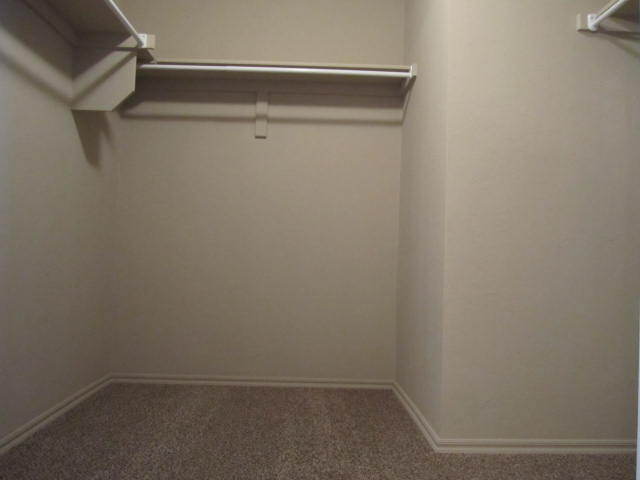 Building Photo - 2813 Sunberry Way