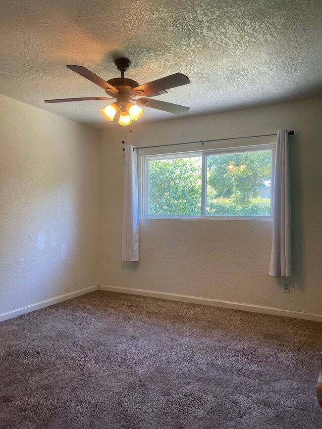 Building Photo - LARGE 4 BEDROOM 2 BATHROOM HOME IN THE PEPPERTREE SUBDIVISION