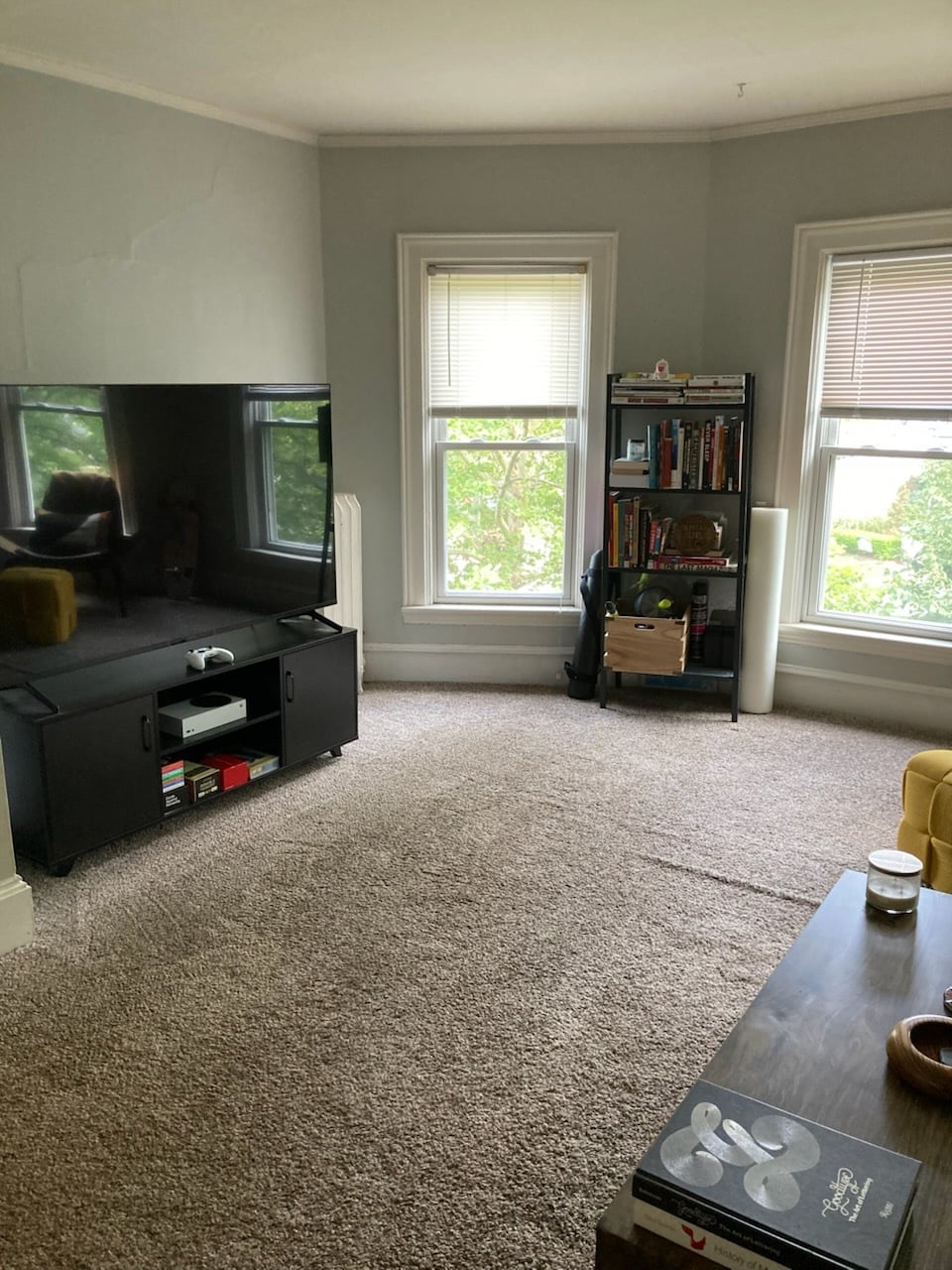 livingroom - 221 W Sibley St