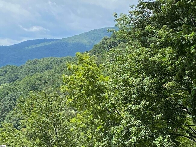 Building Photo - 1671 Hogback Mountain Rd