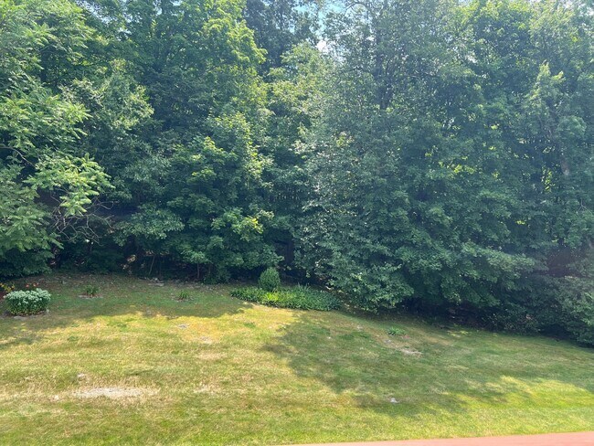 View from deck - 557 Gregory Ct