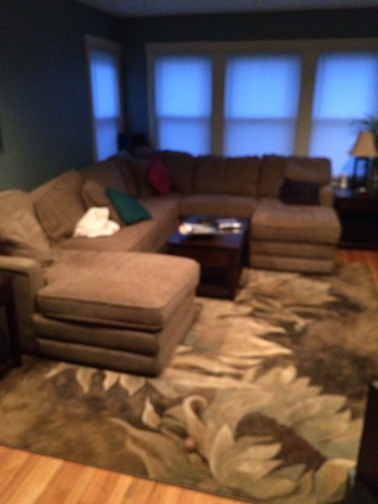 Shared Living Room - 2407 Grove Ave