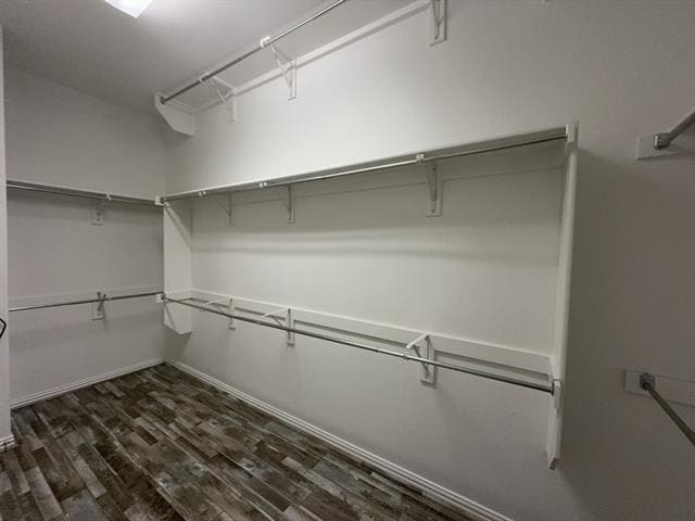 Building Photo - 4027 Snow Goose Trl