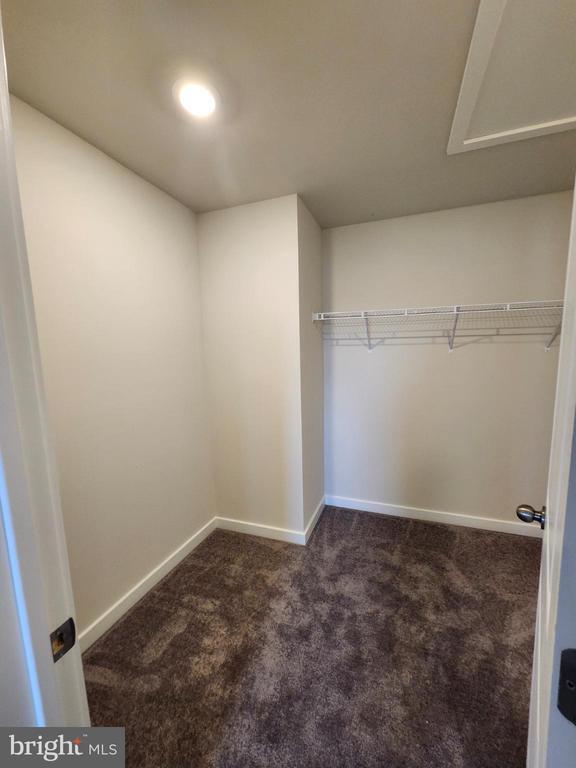 Building Photo - 4901 Brookside Ct