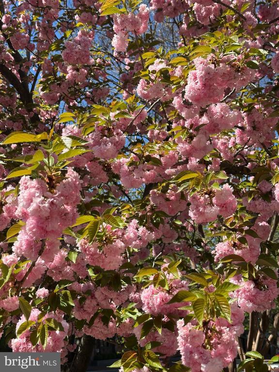 Building Photo - 522 21st St NW