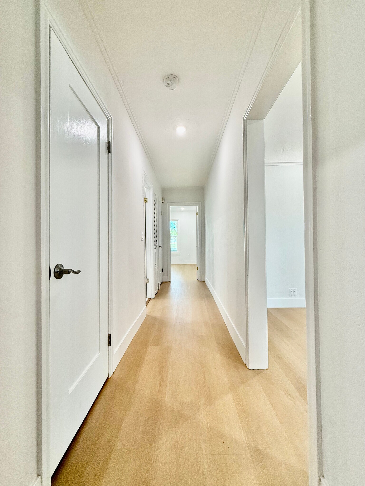 Building Photo - 1221 West Blvd