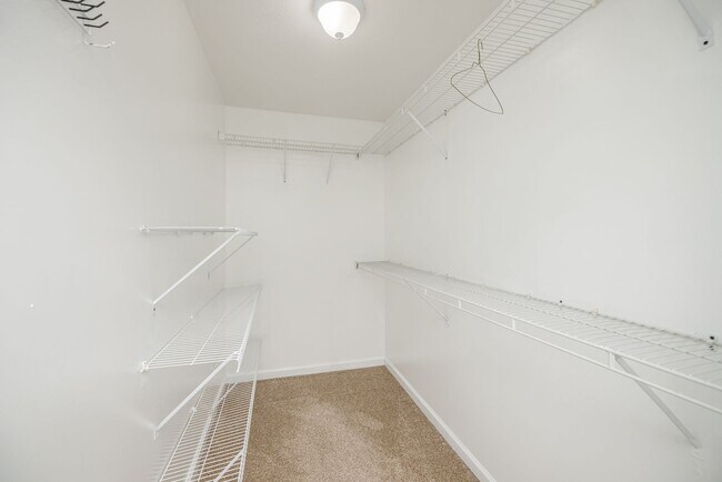Building Photo - 203 Hayne Dr