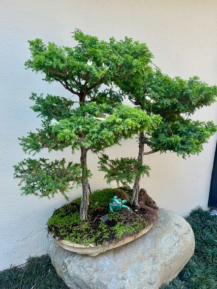 Building Photo - 2005 N Sycamore Ave