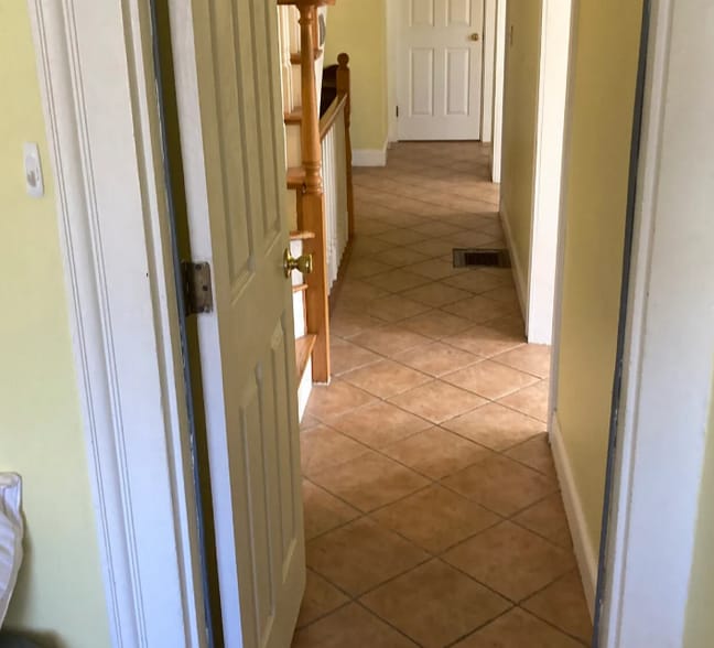 Building Photo - 27 Albion St