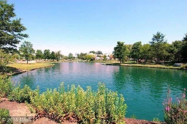 Building Photo - 8534 Pine Meadows Dr