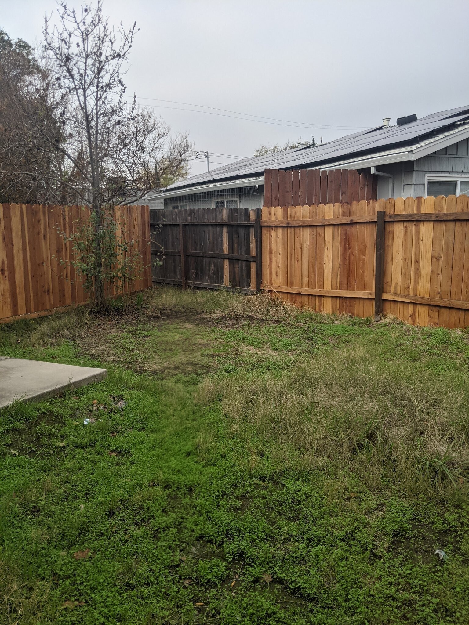 Building Photo - 127 Huber Ct