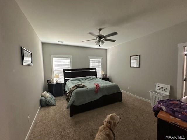 Building Photo - 507 Privet Ct