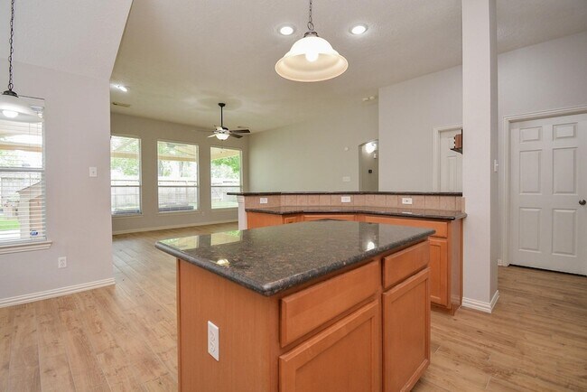 Building Photo - 4007 Gazebo Ln