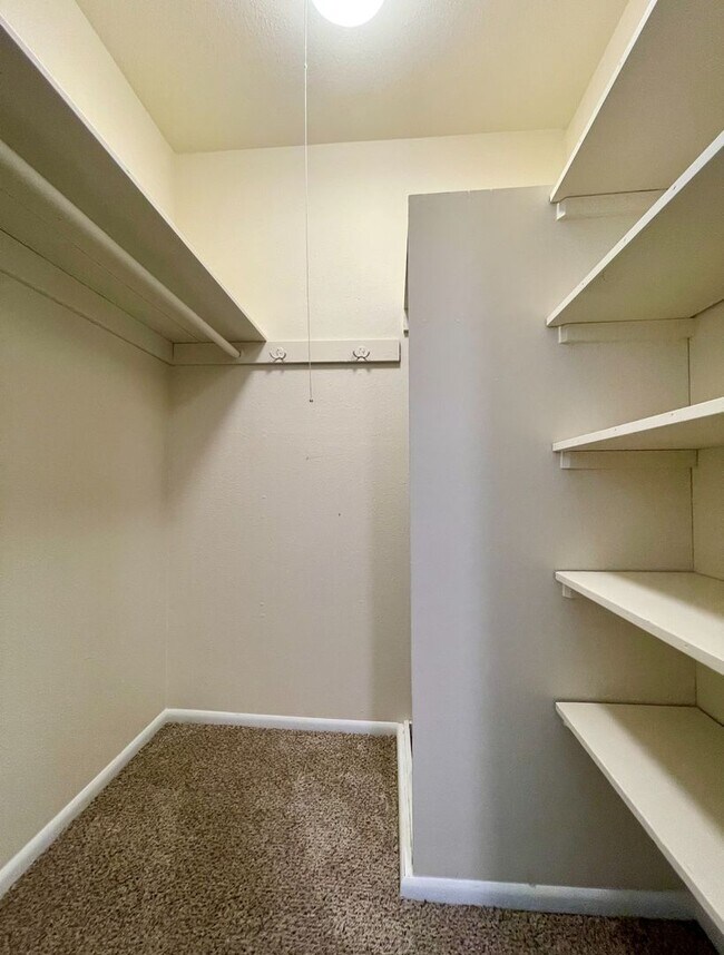 Building Photo - Vintage Main Floor 2 Bedroom in Hollywood ...