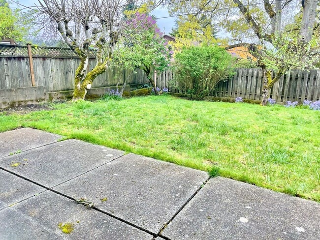 Building Photo - Charming lower level of home