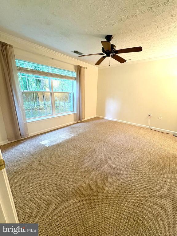 Building Photo - 653 Burtons Cove Way