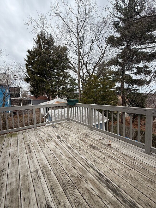 Building Photo - Spacious, Sunny and Updated Brighton / Oak...