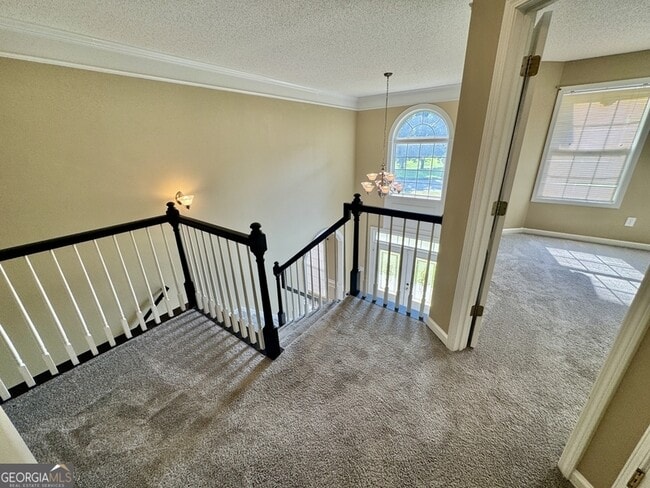 Building Photo - 431 Whitewater Tr
