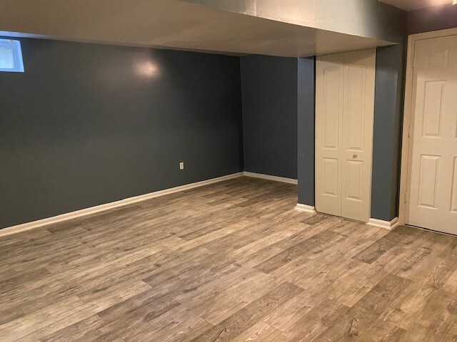 Basement - 4614 Snowflower Blvd