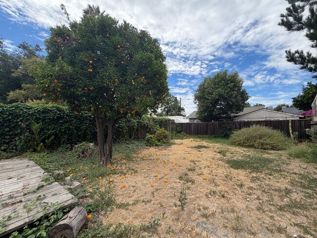 Building Photo - Charming Rose Garden Home in a Great Location - Coming Soon!