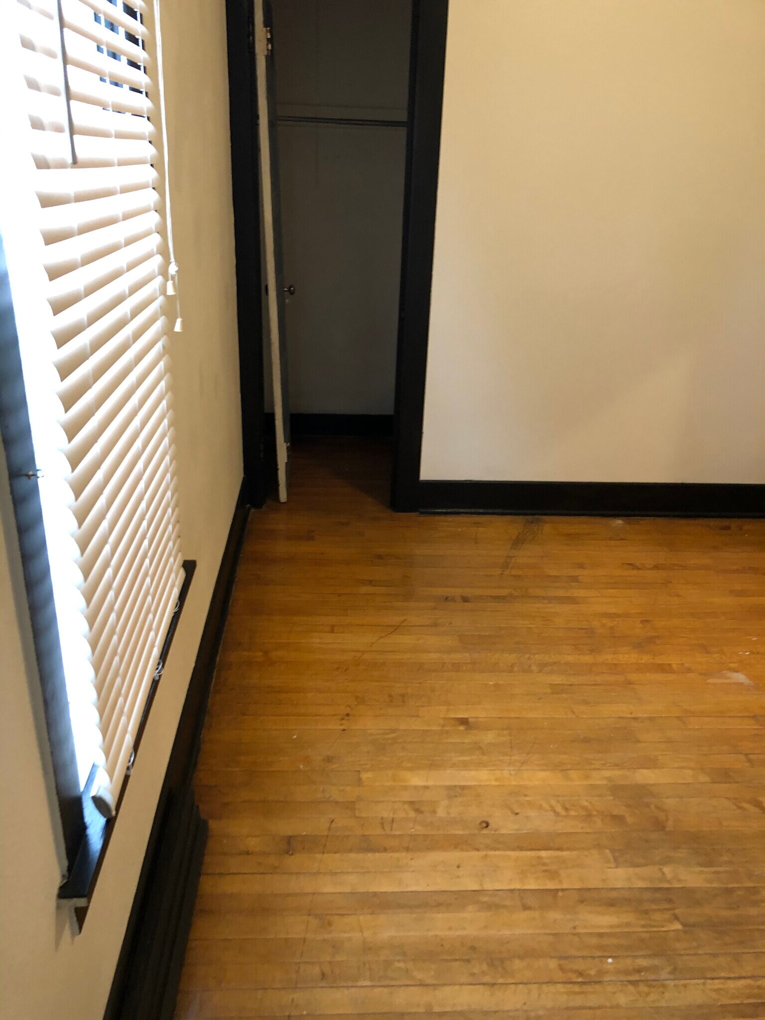 Bedroom with closet - 810 Swift Ave