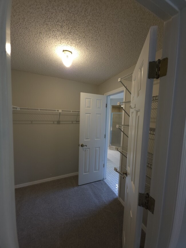 Building Photo - 5373 N Mock Orange Dr