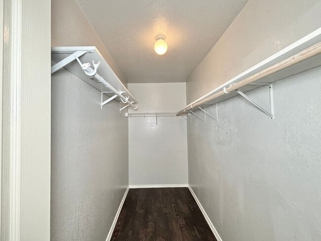 Building Photo - Spacious 4 Bedroom Home in Bristol Forest!