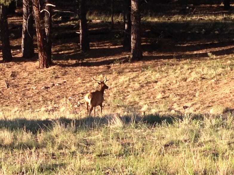 Building Photo - 3598 Huron