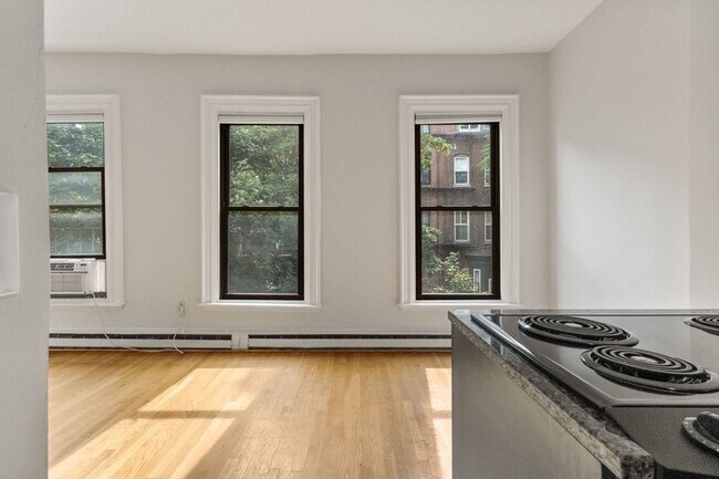Building Photo - 182 W Brookline St