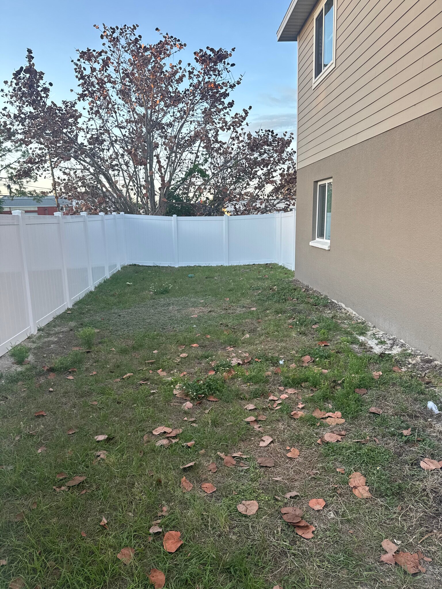 Building Photo - 1149 Sycamore St