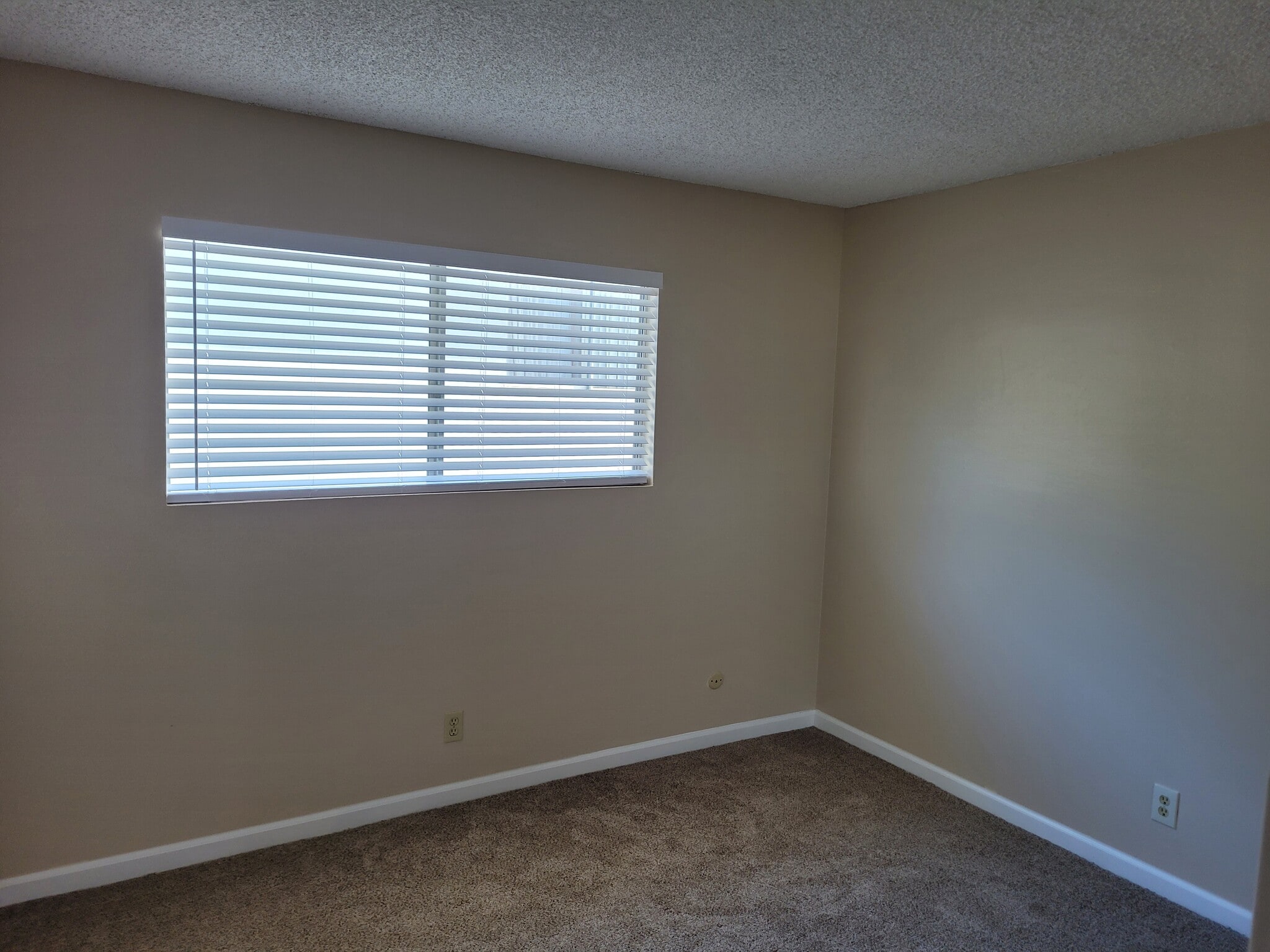 Bedroom - 1301 Hemlock Ave