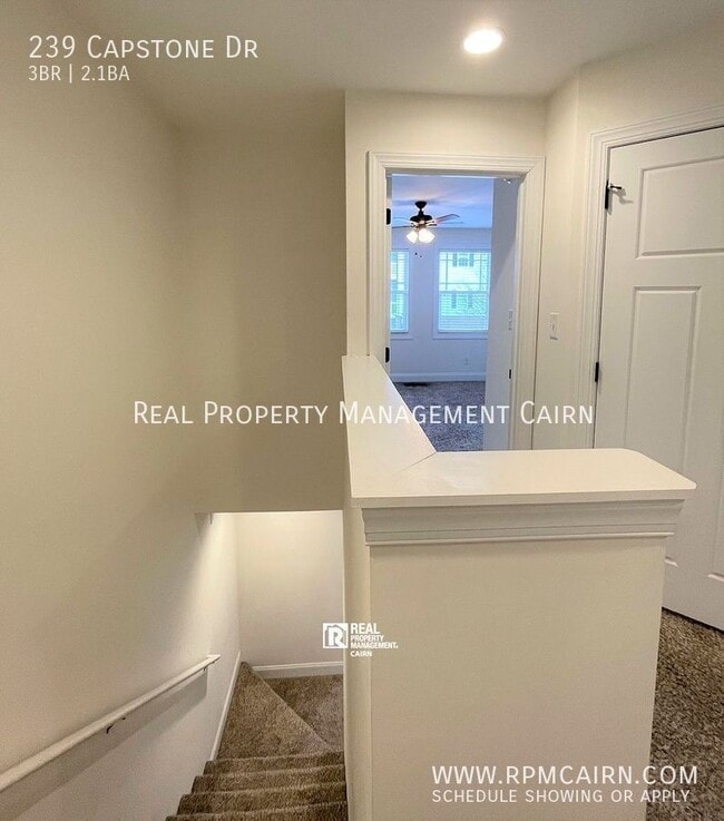 Building Photo - 239 Capstone Dr