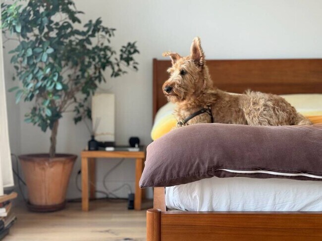 Building Photo - 189 Conover St