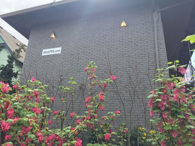 Building Photo - Upper 2 bed on Belmont! Hardwood floors, granite counters, tile in shower! All dogs welcome!