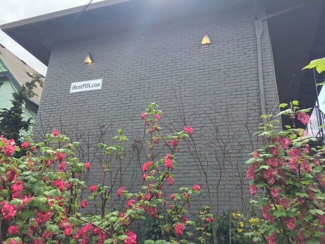 Building Photo - Upper corner unit 1 bed on Belmont, granite, hardwoods, off street parking!