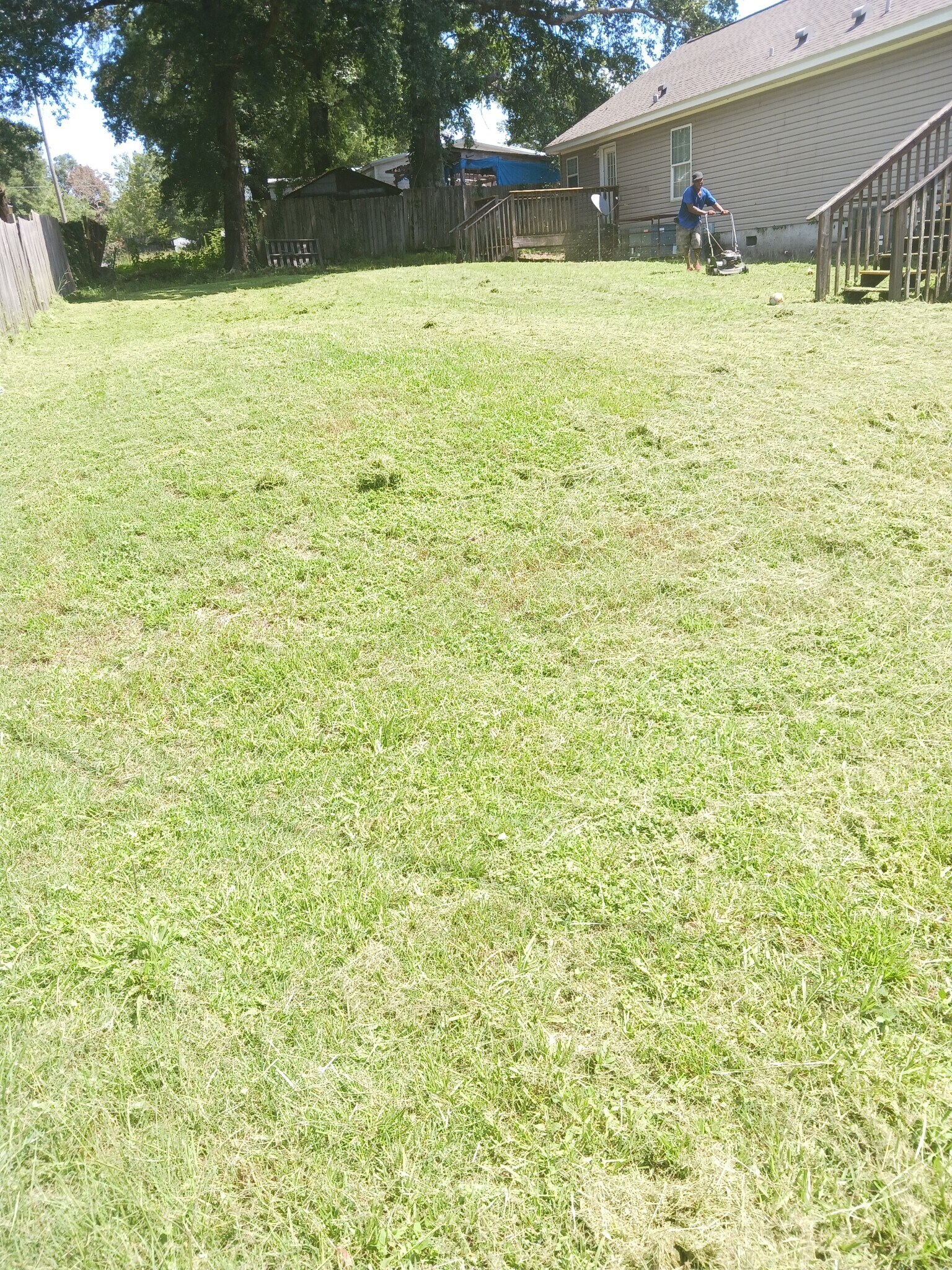 Building Photo - 236 Forrest Dr