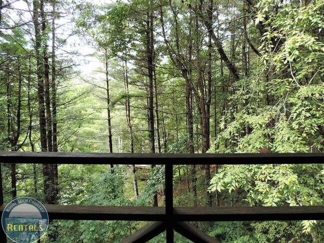 Building Photo - Log Home in Alpine Acres